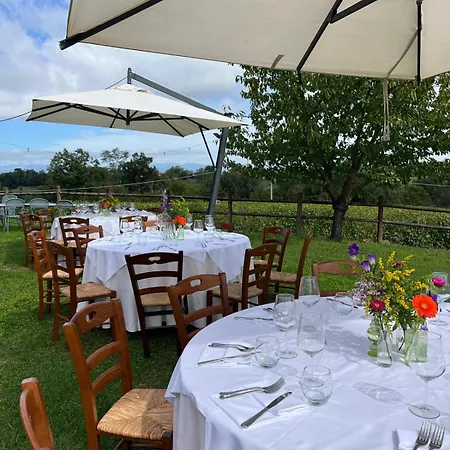 Le Sodole Country & Golf 4* Pontedera