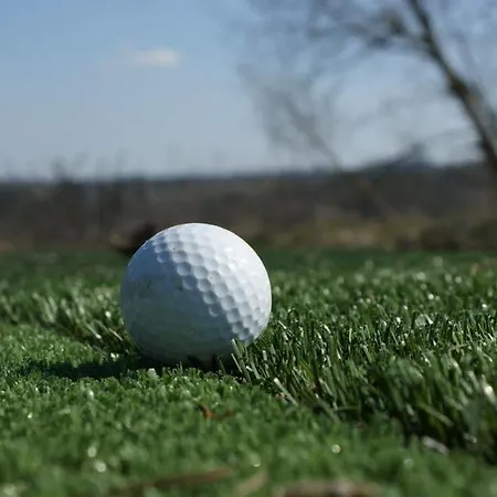 Le Sodole Country & Golf 4* Pontedera